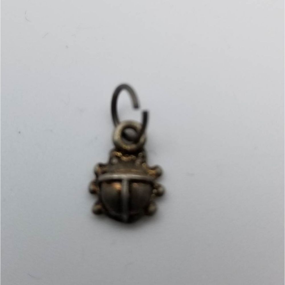 Little ladybug charm garden friends